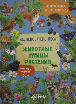 Тетрадь для общения и развития детей \"Птицы\" СФ-Т-41 в Москве|CLEVER-TOY.RU