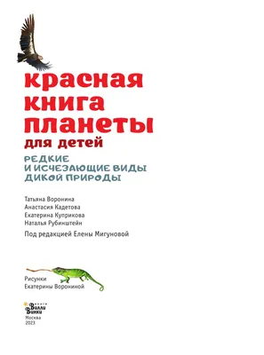 Зимующие птицы Москвы и Подмосковья: как и чем можно их кормить - Советы -  РИАМО в Люберцах