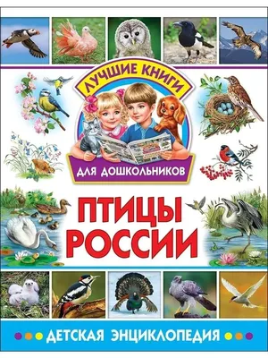 Книга Птицы России - купить детской энциклопедии в интернет-магазинах, цены  на Мегамаркет | 7870