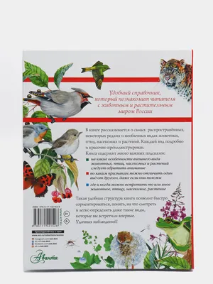 Мемо \" Птицы России\" (50 карточек, в комплекте 2 брошюры) Нескучные игры  169757758 купить за 265 ₽ в интернет-магазине Wildberries