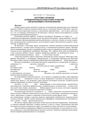 рыба под водой с кораллом на пху-кво во вьетнаме Стоковое Изображение -  изображение насчитывающей коралл, океан: 226196175