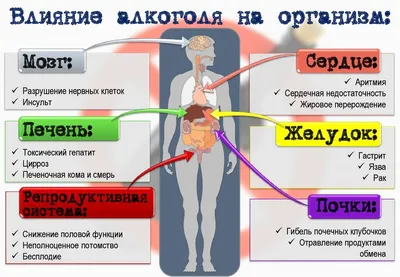 Влияние алкоголя на организм человека фото