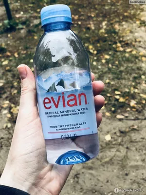 Вода минеральная «Evian» негазированная, 0.33 л купить в Минске: недорого в  интернет-магазине Едоставка