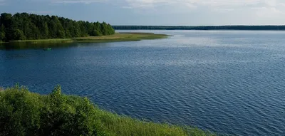 Вода питьевая «Королевская» 18,9 л. (самовывоз) - Наши акции! - Доставка  питьевой воды в офис, на дом. Доставка воды в Минск и регионы. Кулер для  воды, помпа для воды. Кулер для воды.