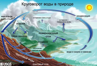 Вода — источник жизни