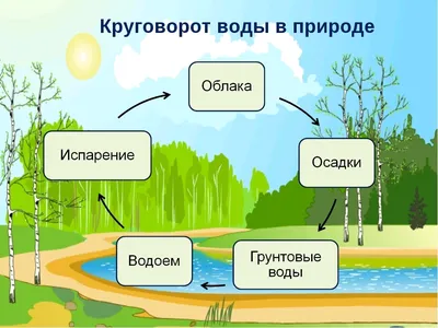 Круговорот воды в природе