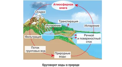 Вода в природе - фото и картинки: 61 штук