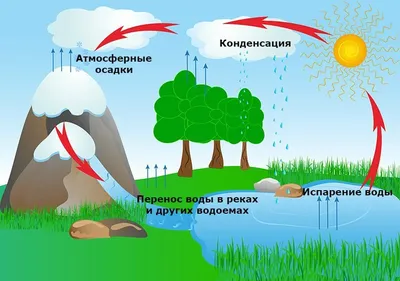 Круговорот воды в природе | Рассказы из Космоса | Дзен