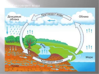 Картинки круговорота воды в природе (40 картинок) - Pichold