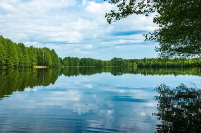 Круговорот воды в природе. Кратко - Наука и Техника - Каталог статей - Блог  Ильи Винштейна