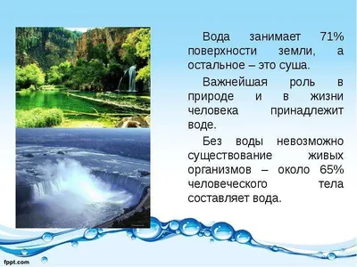 Круговорот воды в природе простыми словами | Ты серьезно? Не верю! | Дзен