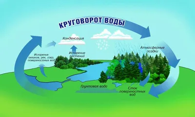 Картинки для презентации вода в природе (67 фото) » Картинки и статусы про  окружающий мир вокруг