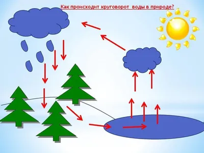 Вода и ее значение в природе. 5-й класс