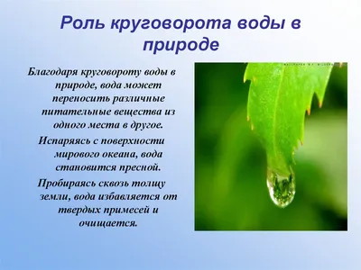 Значение воды в природе и жизни человека – краткий и обоснованный ответ —  Природа Мира