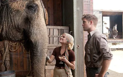 Воды слонам! (DVD) - купить фильм /Water for Elephants/ на DVD с доставкой.  GoldDisk - Интернет-магазин Лицензионных DVD.