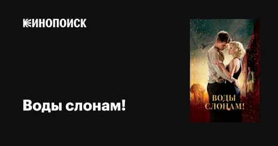 Звезды на премьере фильма «Воды слонам». ФОТО | WMJ.ru