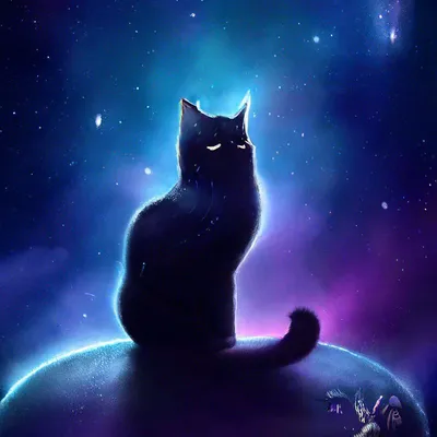 Очень красивый котенок Волшебный взгляд Кот в сумке Стоковое Фото -  изображение насчитывающей кот, волшебно: 117232784