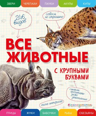 Куда подевались все птицы?