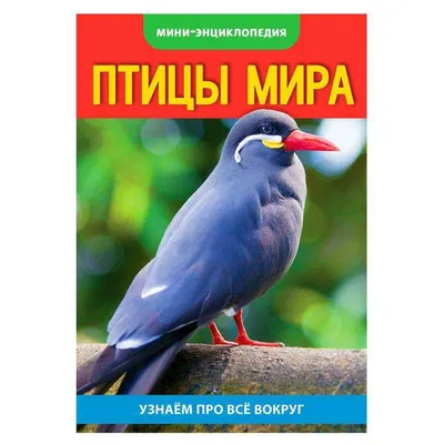 Все птицы мира рядом с капибарой» — создано в Шедевруме