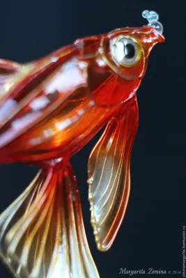 Вуалехвіст асорті | Золоті рибки | Каталог | TropFish – Постачальник  декоративних акваріумних та ставкових риб, товарів для акваріумістики