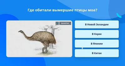 Книга Вымершие животные. Полная энциклопедия купить по выгодной цене в  Минске, доставка почтой по Беларуси