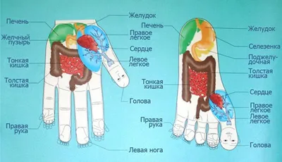 Заброс желчи: почему происходит, симптомы, что делать, как лечить?