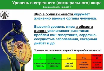 Тело молодого человека с избыточным весом, держите живот жиром на сером  фоне Стоковое Фото - изображение насчитывающей диеты, завершенность:  149078150