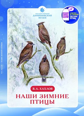 Зимние птицы Сибири (145 фото) - 145 фото