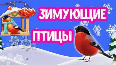 Определитель московских птиц: от дрозда до зеленой пересмешки - МК