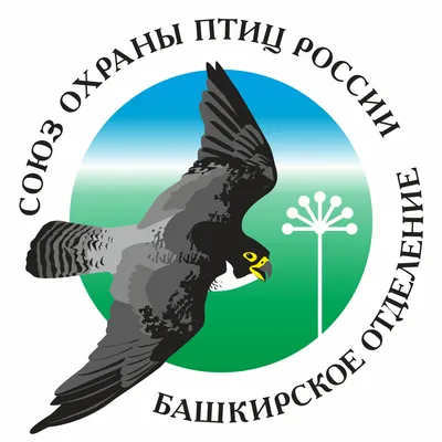 Зимующие птицы России (Много фото) - treepics.ru