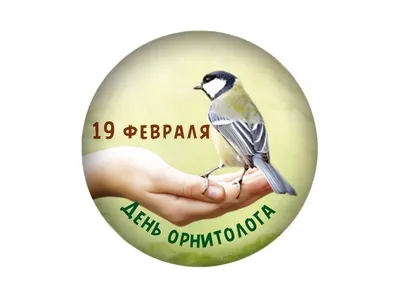 Перелетные птицы башкирии - 63 фото