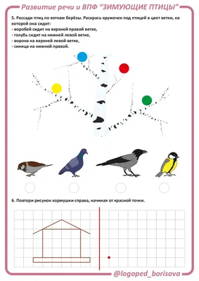 Комплект развивающий ПРИРОДА. ЗИМУЮЩИЕ ПТИЦЫ для проведения познавательных  занятий и игр для детей дошкольного возраста в детских садах и дома -  купить с доставкой по выгодным ценам в интернет-магазине OZON (829735788)