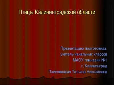 Зимующие птицы. Конспекты занятий. Воспитателям детских садов, школьным  учителям и педагогам - Маам.ру