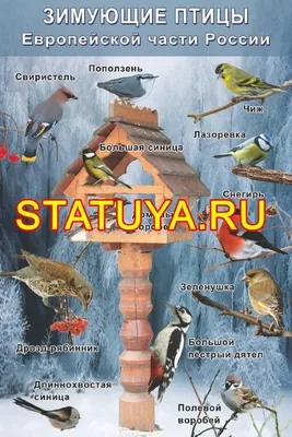 Трехчастные карточки Перелетные птицы России - карточки Монтессори купить и  скачать