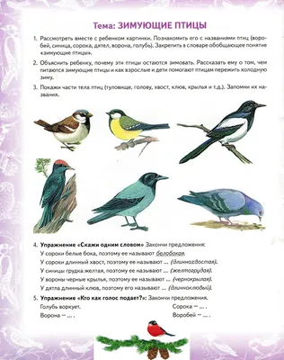 Картинки зимующих птиц для детского сада (много фото) - drawpics.ru