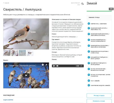 Время – читать! Книги о зимующих птицах | 14.11.2023 | Мурманск - БезФормата