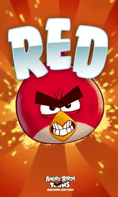 Скачать обои птицы, red, angry birds, злые птицы, видеоигры, энгри бердс,  раздел минимализм в разрешении 1920x1080